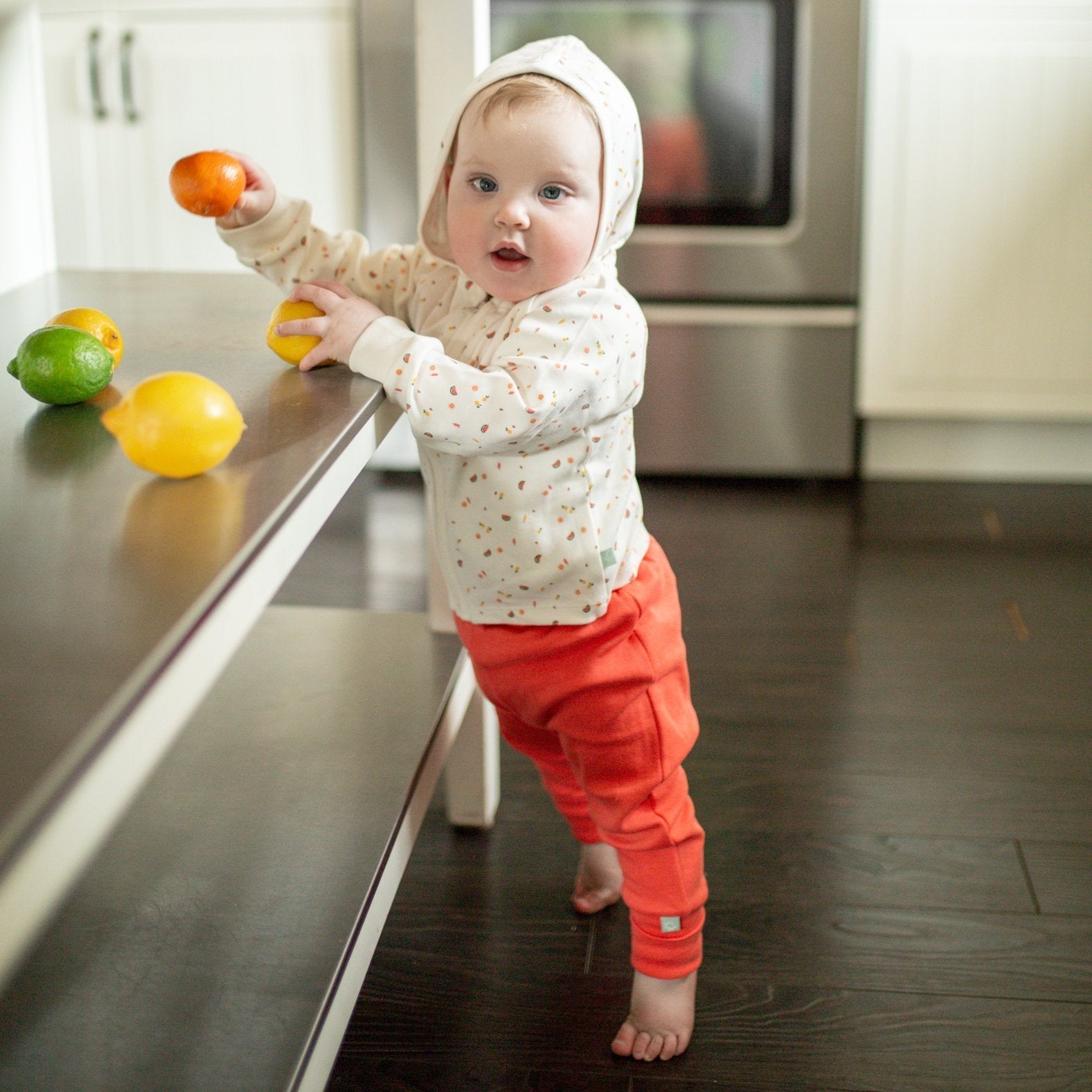 hoodie | tutti frutti