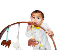 2 pc. stroller toys | amelia & piper