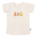 graphic tee | big autumn