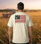 America 250 Years Anniversary Flag